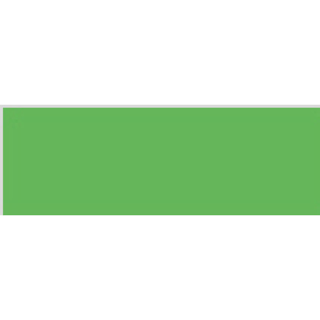 Damen Colour Chiffon Schal | 40 Farben, Krawatten- und Tuchfarben: apple