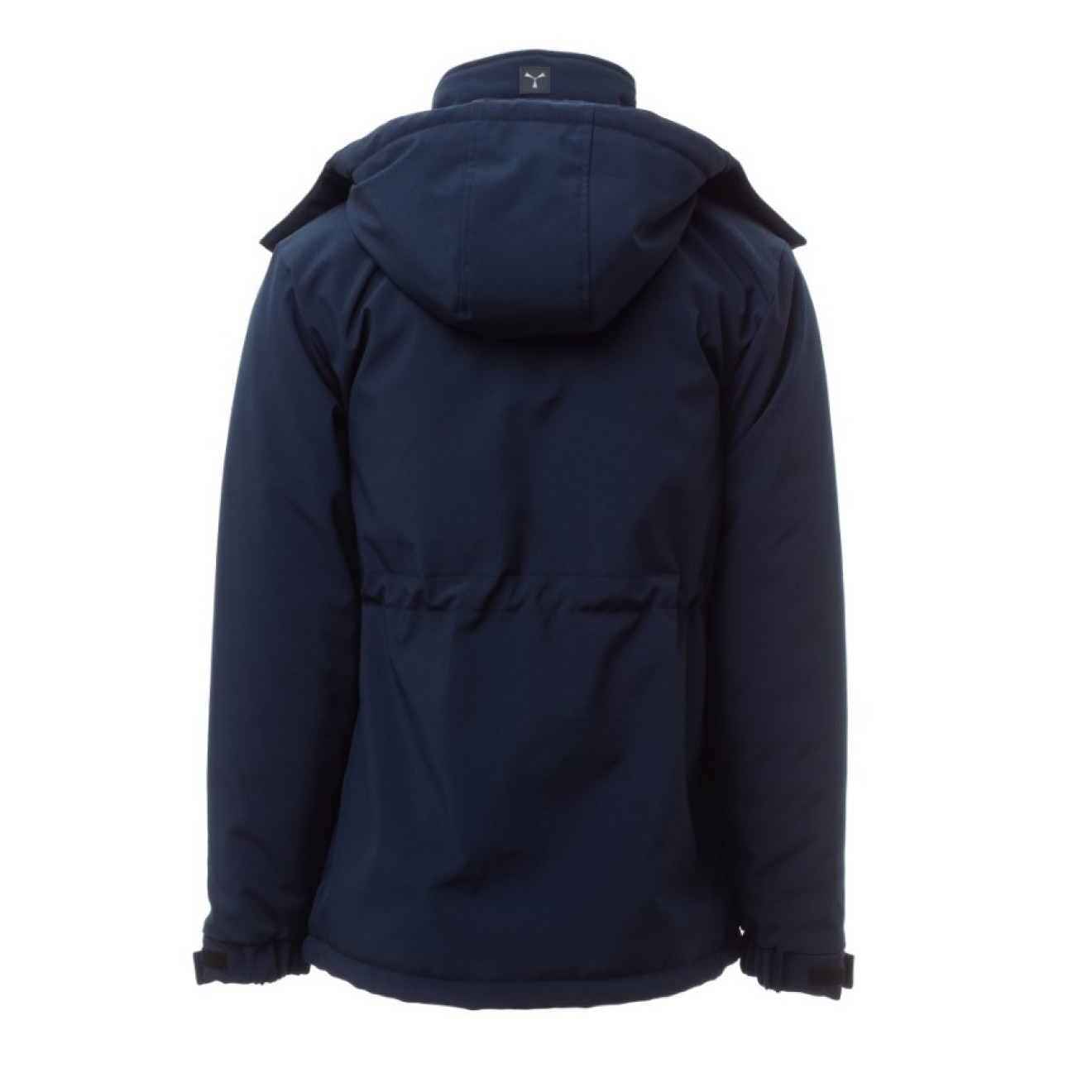 Winter-Softshelljacke NORDET | bis 5XL