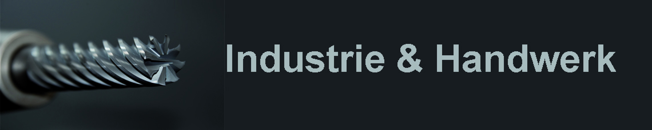 neues Silderelement 2