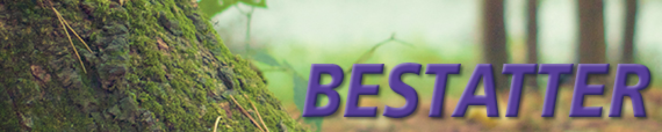 neues Silderelement 1